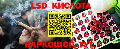 шишки Будённовск