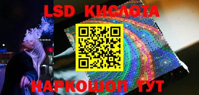 шишки Будённовск