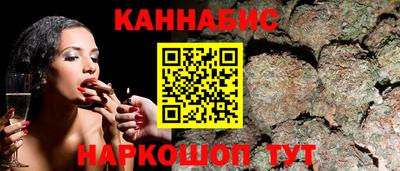 шишки Будённовск