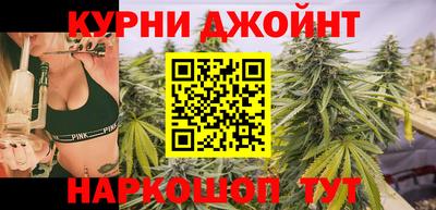 шишки Будённовск