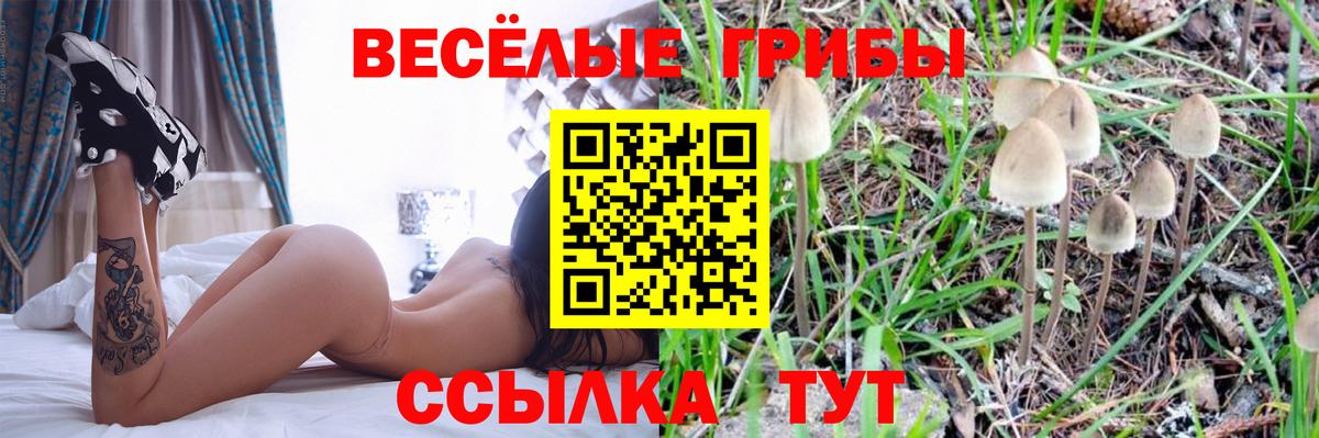 Псилоцибиновые грибы MAGIC MUSHROOMS Белгород