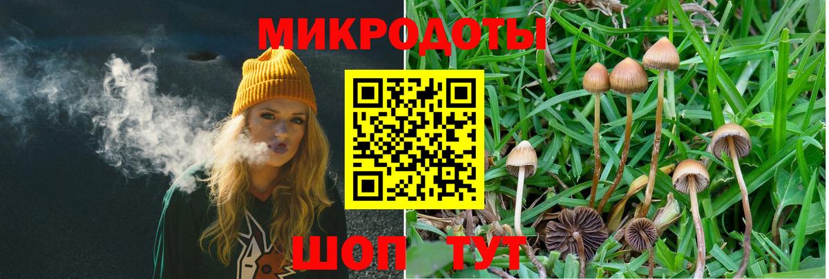 Псилоцибиновые грибы Magic Shrooms  Вход с VPN  Белгород 